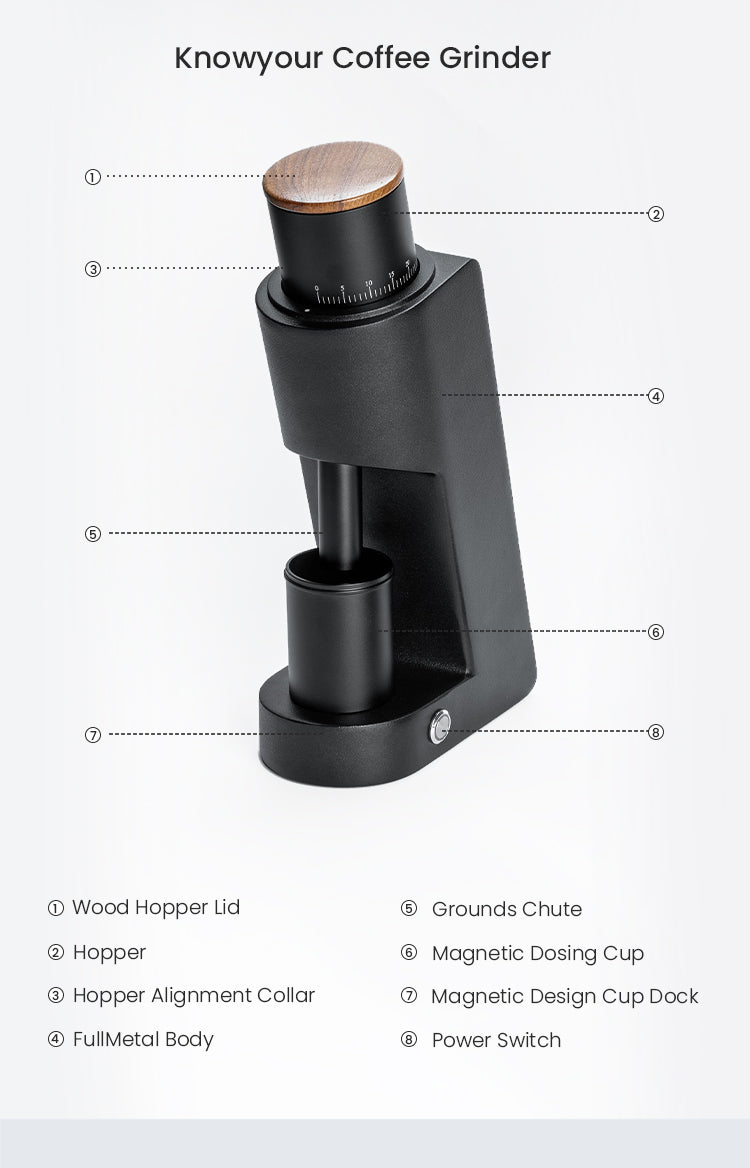 Al-alloy Body 420 Stainless Steel Conical Burr 110V 220V 72W 160 RPM Electric Coffee Grinder